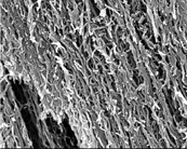 取向性多壁碳納米管JCAMT-98-11-40，JCAMT-95-16-60（Oriented Carbon Nanotubes,O-CNTs）