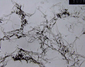 羧基化雙開口多壁碳納米管JCDOMT-95-5-1.25-COOH，JCDOMT-95-8-1.25-COOH，JCDOMT-95-11-1.25-COOH，JCDOMT-95-15-1.25-COOH，JCDOMT-95-25-1.25-COOH，JCDOMT-95-40-1.25-COOH，JCDOMT-95-50-1.25-COOH，