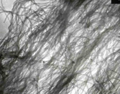 石墨化多壁碳納米管石墨化多壁碳納米管JCGMT-999-11-30，JCGMT-999-15-20，JCGMT-999-25-20，JCGMT-999-40-10，JCGMT-999-50-10