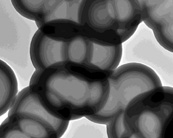 納米空心碳球及實(shí)心碳球改性產(chǎn)品JCHCS-99-550，JCSC-99-550-COOH，JCSC-99-550-NH2