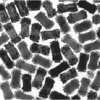 鈀、鉑包覆的金納米棒