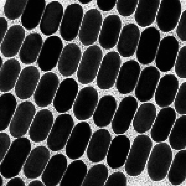 PEG@金納米棒（改性金納米棒）、PEG-NS修飾金納米球