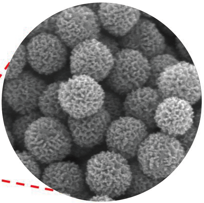 納米級(jí)單分散球炭、介孔納米球炭、微介納米球炭、鐵摻雜介孔納米球炭、親水性球炭