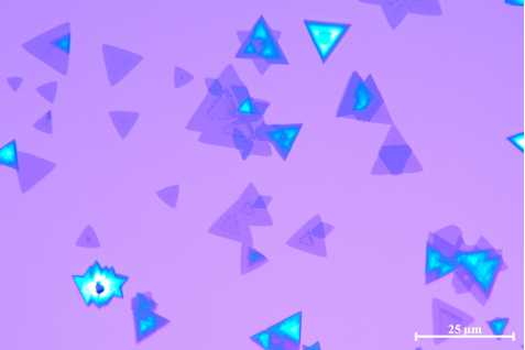 CVD二硫化鎢膜WS2連續(xù)膜